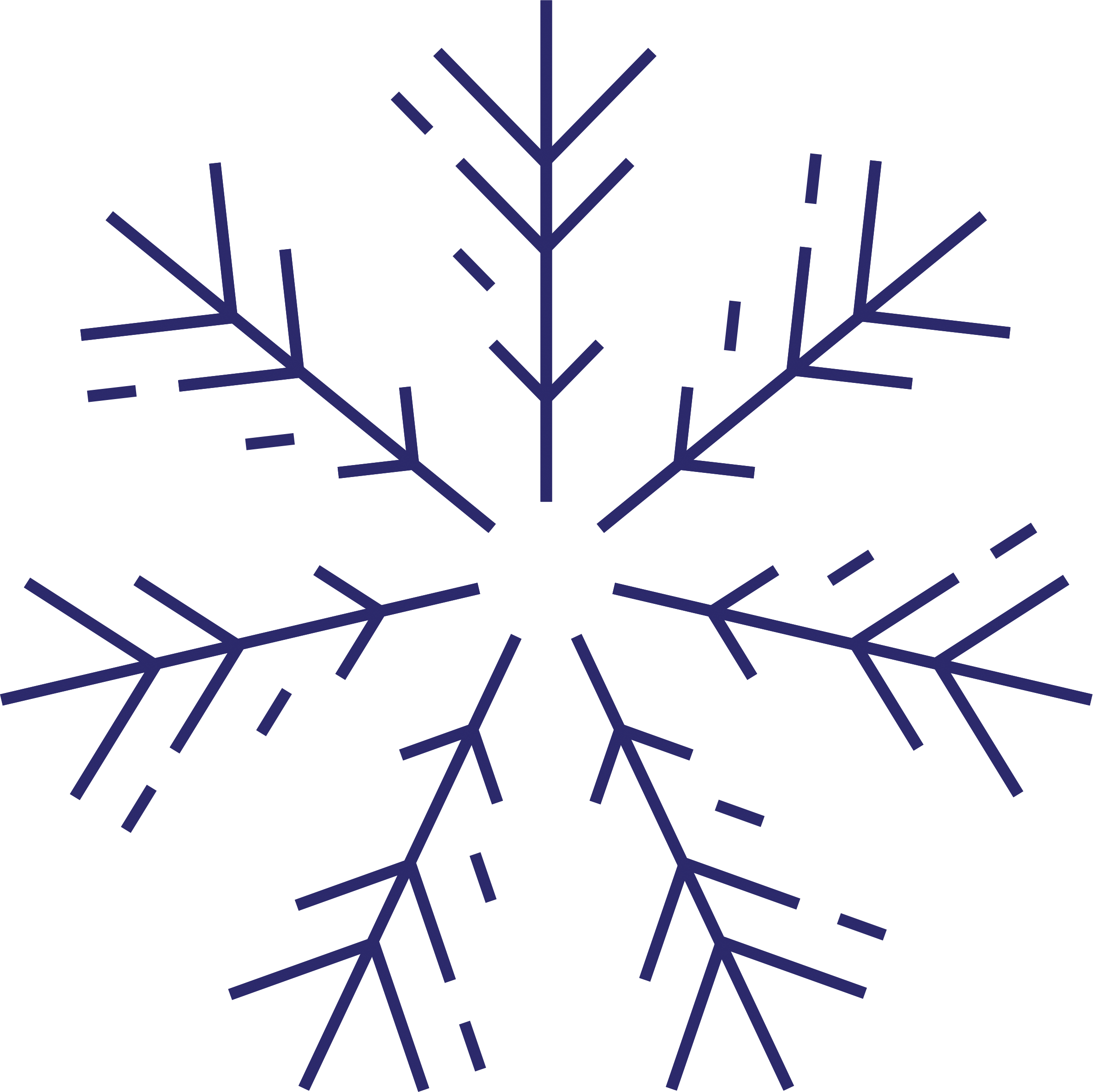 Northern Decoration